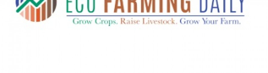 ecofarmingdaily