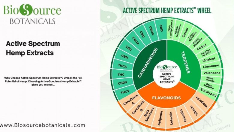 The Power of Active Spectrum Hemp Extracts for Natural Wellness
