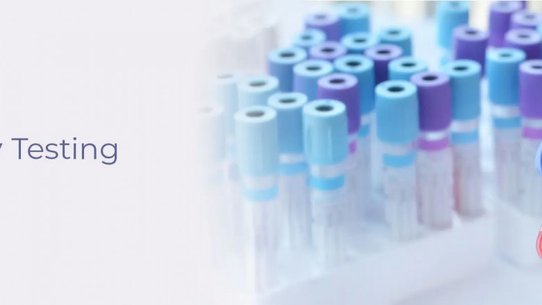 Allergy Testing Guide: Types, Procedures & Results