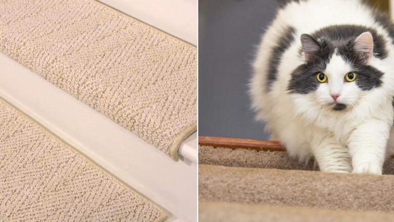 Cat Scratching Mat: The Ultimate Indoor Cat Companion for USA Homes