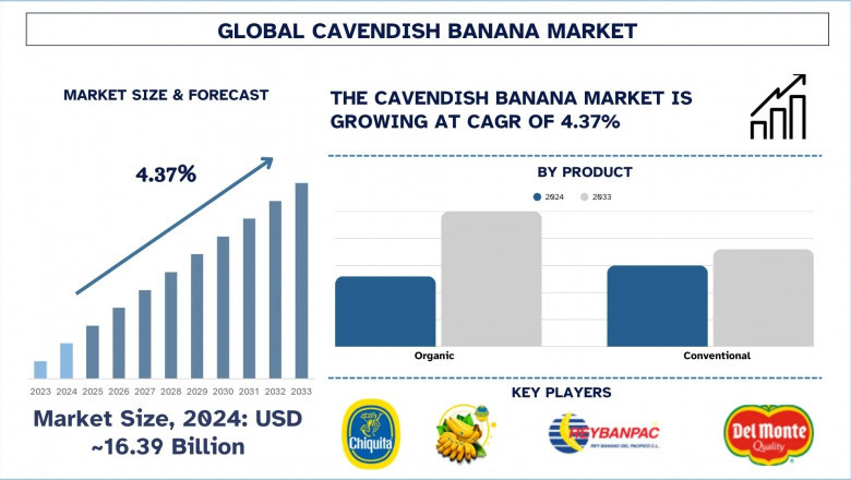 Cavendish Banana Market Report, Size, Segments, Analysis & Forecast 2033
