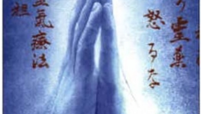 Experienced Animal Reiki Healer Offering Gentle, Supportive Healing