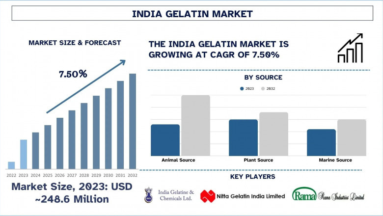 Indian Gelatin Market Report, Size, Share, Trends, Demands & Forecast 2032