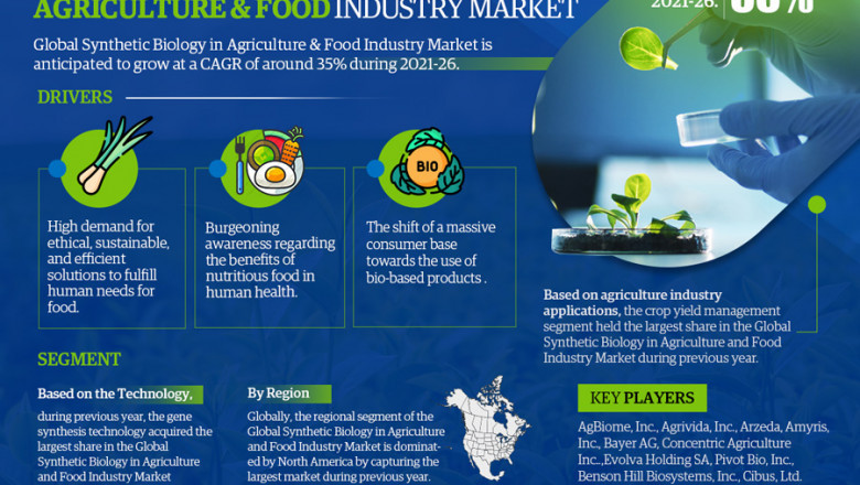 Synthetic Biology in Agriculture & Food Market Expected to Grow at 35% CAGR | Key Trends & Forecast to 2026