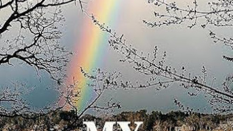 Embracing a New Normal, Why You Should Read My Stroke of Blessings