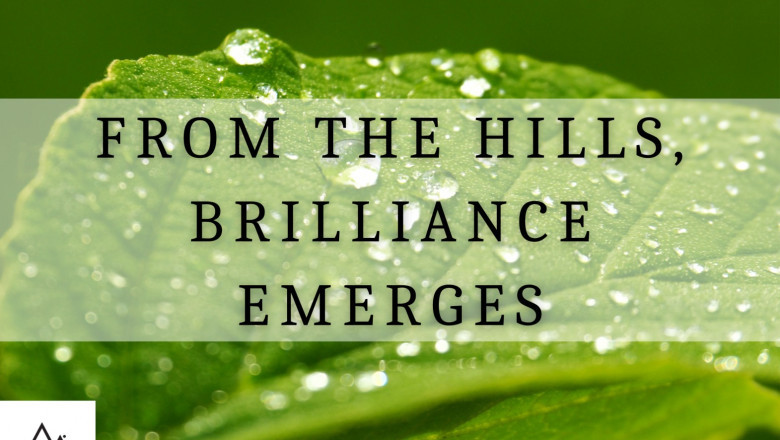 From the Hills, Brilliance Emerges