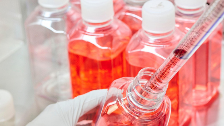 Global Cell Culture Media Market