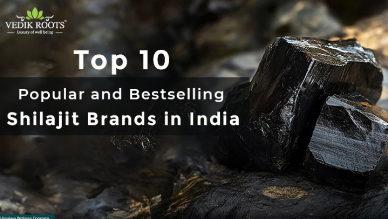 Top 10 Shilajit Brands in India
