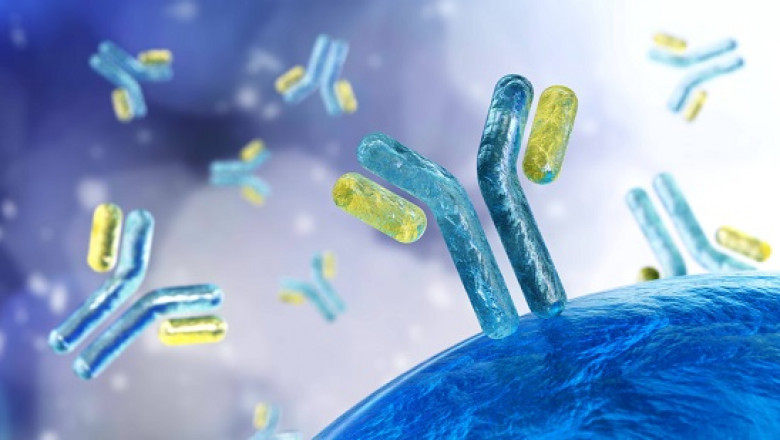 Decoding the Antibodies Market: Demand Surge, Pipeline Insights &amp; Future Prospects