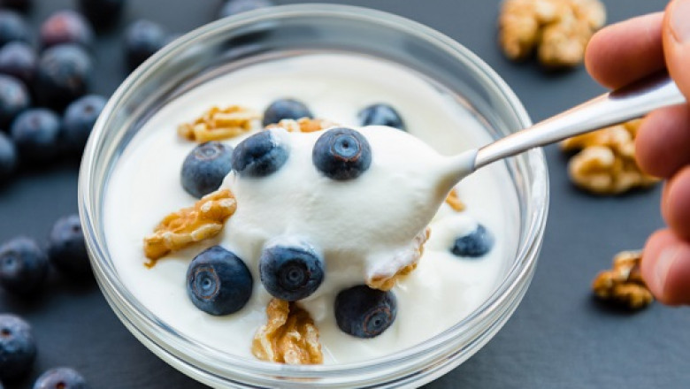 Greek Yogurt Market Outlook: Trends, Growth Drivers, and Future Forecast
