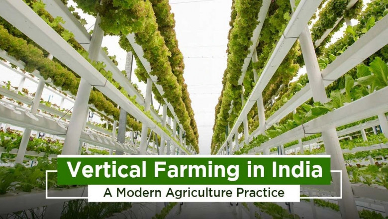 Let's Learn About the Vertical Farming Method and Its Advantages in India