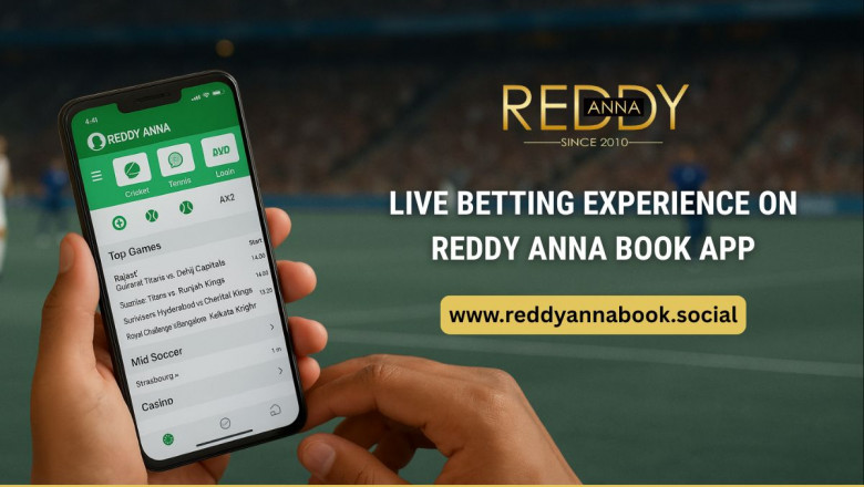 Live Bet Experience on Reddy Anna Book App