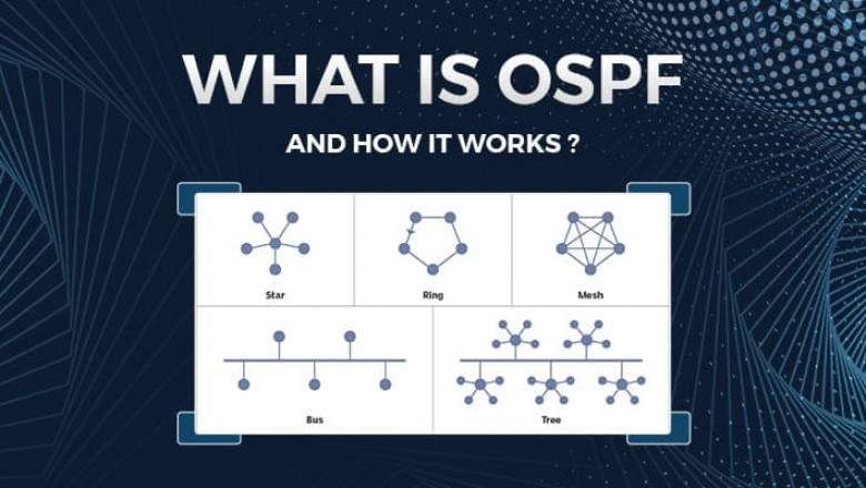 LSA Full Form and Types in OSPF Explained for Networking Beginners