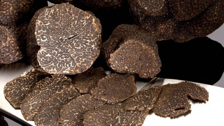 Truffles Market: Growth Trends, Consumer Demand &amp; Forecast 2023–2031