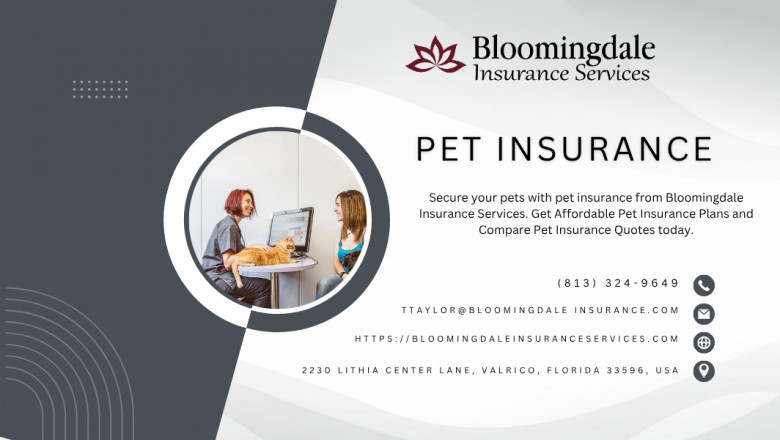 Why Pet Insurance from Bloomingdale Insurance Services Is a Must for Every Pet Owner