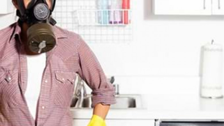 Trusted Mold Removal Services Backed by Professionalism