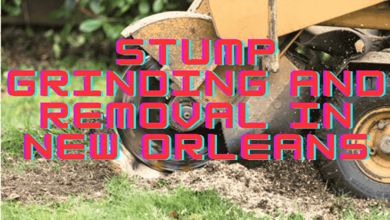 Efficient Tree Watering Strategies by Audubon Tree Care