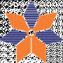 testinginstrumentsindia