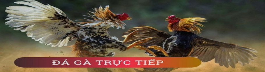 dagatructiepcomco