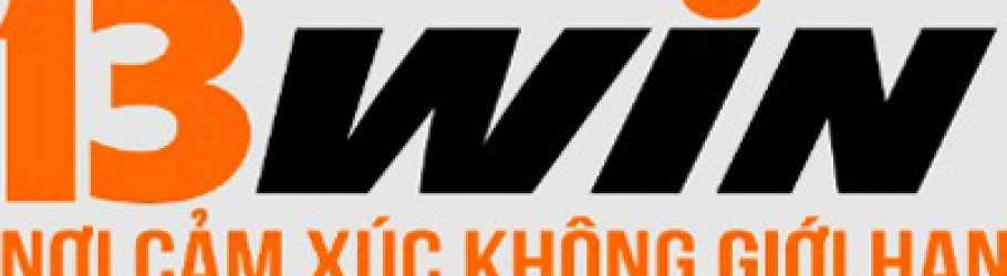 13windomains