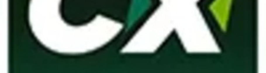 crickex95com