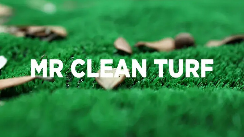 Real Grass vs. Artificial Turf in Arizona: Which Saves More Money in the Long Run?