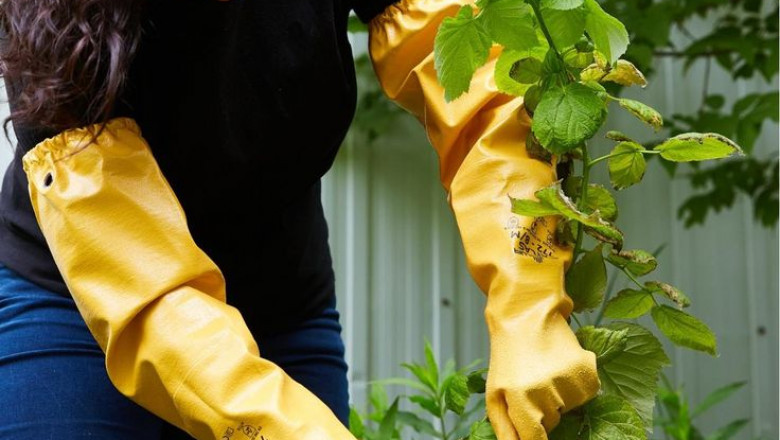 Protective Gloves Market trend Competitive Outlook To 2033