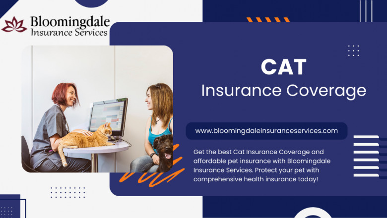 Comprehensive Cat Insurance Coverage: Protect Your Pet with Bloomingdale Insurance Services