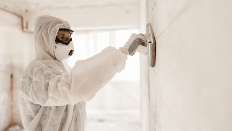 Blog Comprehensive Mold Remediation – Ensure a Healthier Home Environment