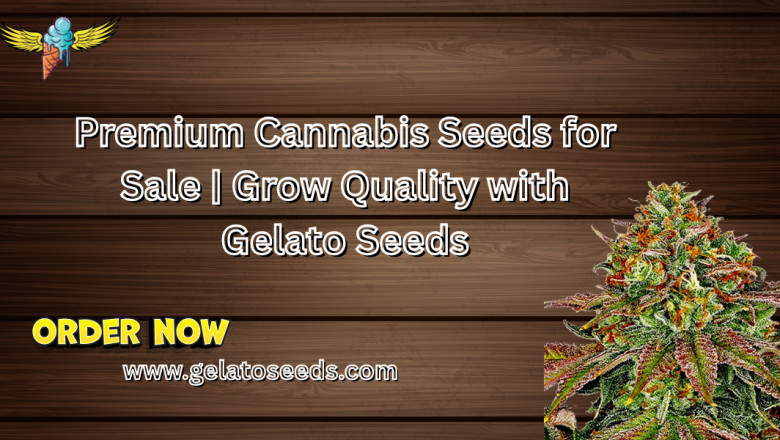 Premium Cannabis Seeds for Sale | Grow Quality with Gelato Seeds