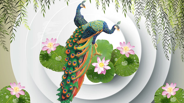 Top Wallpaper Dealers in Chennai – Stylish Designs