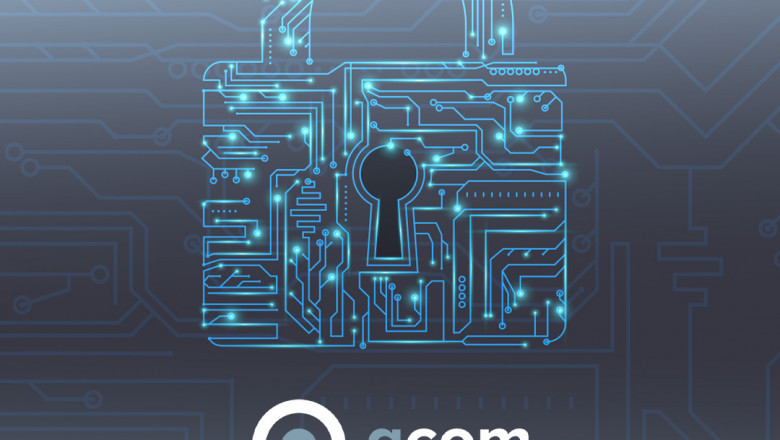 Data Protection Consultant Tips for Robust Business Continuity