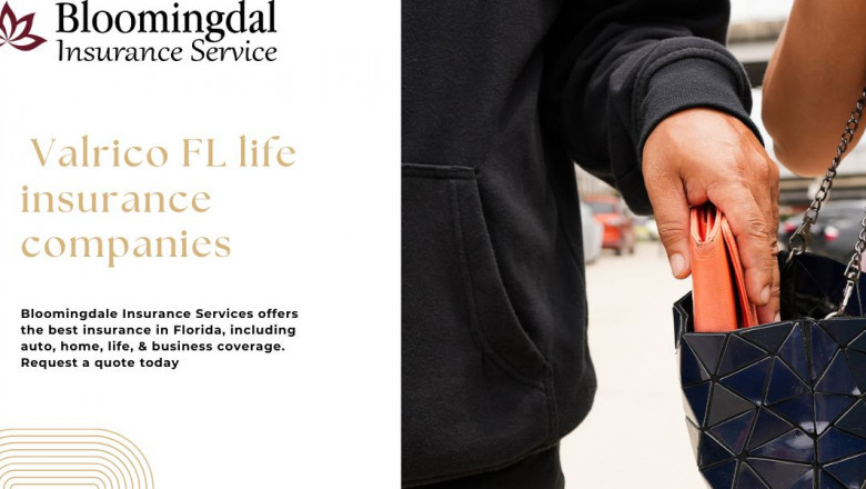 Reliable Valrico FL Life Insurance Companies | Bloomingdale Insurance Services