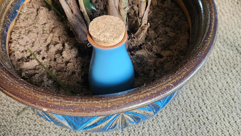 The Science Behind Self-Watering Planters: How They Keep Plants Thriving