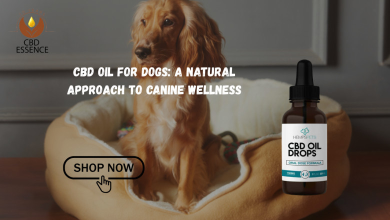 CBD Oil for Dogs: A Natural Approach to Canine Wellnes