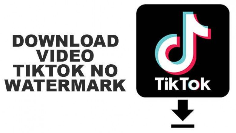 SnapTik.fit: The Ultimate TikTok Downloader for HD Videos Without Watermarks