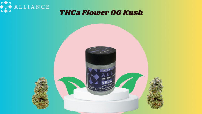 THCa Flower OG Kush — The Perfect Fusion of Potency and Calm