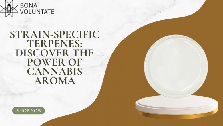 Strain-Specific Terpenes: Discover the Power of Cannabis Aroma