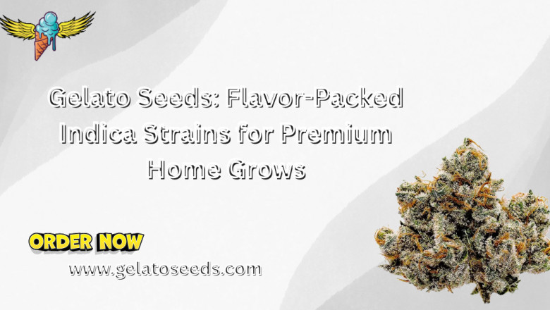 Gelato Seeds: Flavor-Packed Indica Strains for Premium Home Grows