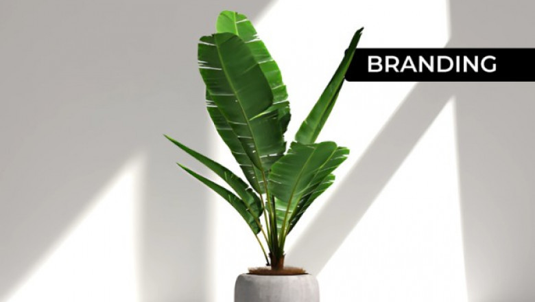 Small Business Branding Tips from Birmingham Experts