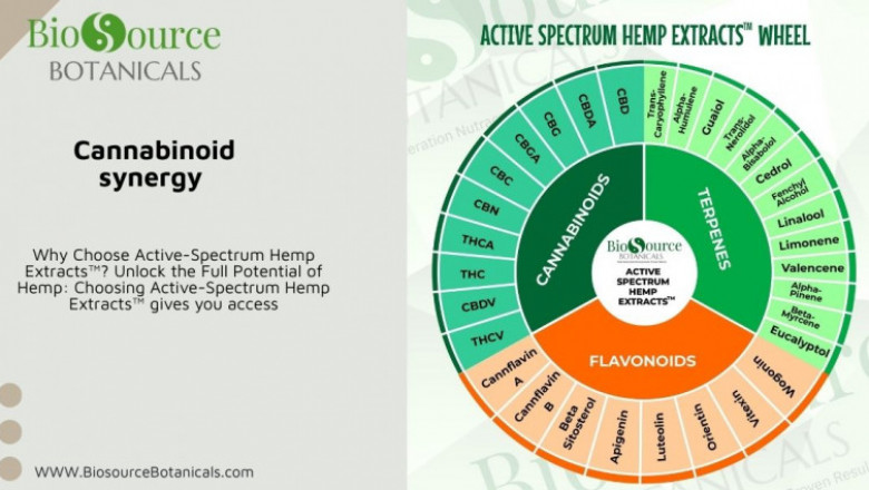 The Power of Cannabinoid Synergy: The Active Spectrum™ Approach to Hemp Wellness