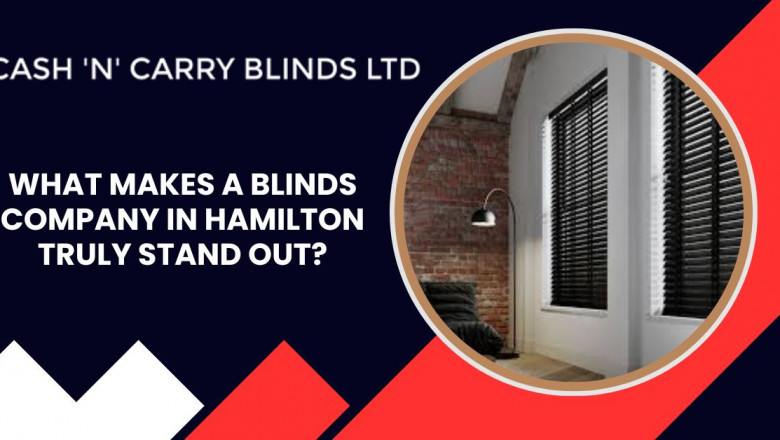 What Makes a Blinds Company in Hamilton Truly Stand Out?