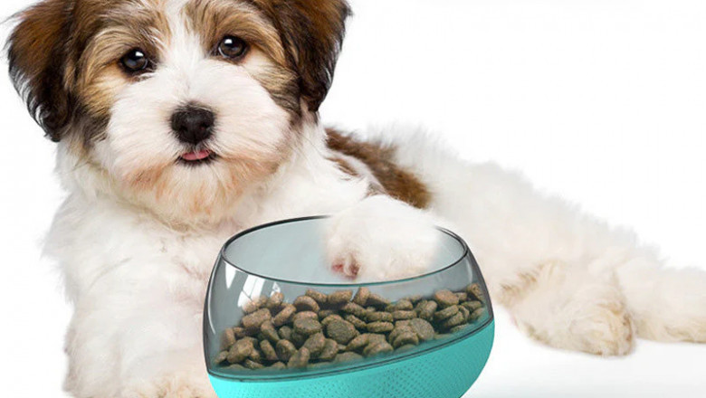 Alys Puppy Bootcamp: Professional Dog Training for a Well-Behaved Dog