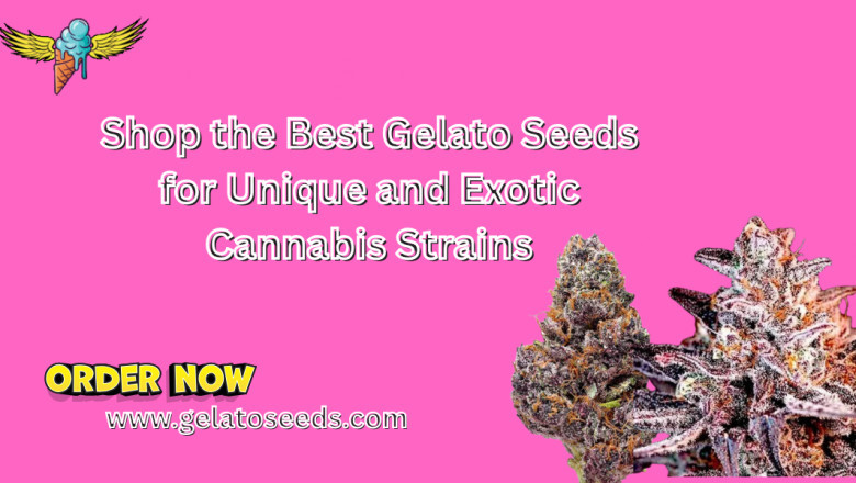 Shop the Best Gelato Seeds for Unique and Exotic Cannabis Strains