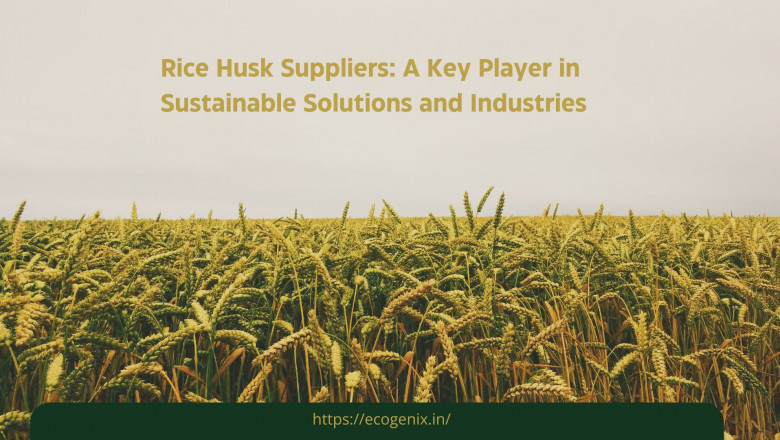 Rice Husk Suppliers: A Key Player in Sustainable Solutions and Industries