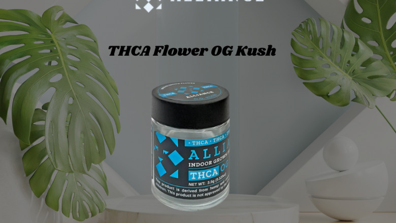 THCA Flower OG Kush: A Deep Dive into This Indica Favorite