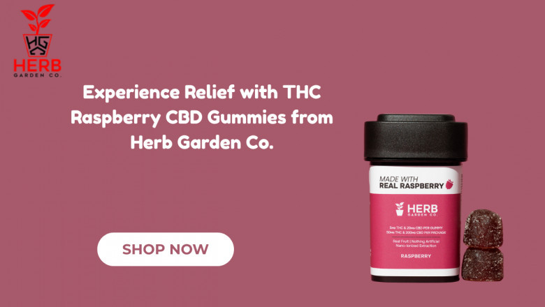 Experience Relief with THC Raspberry CBD Gummies from Herb Garden Co.