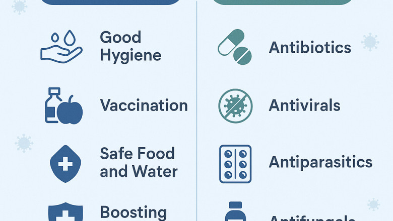 Top Infection Solutions: From Prevention to Fast Recovery