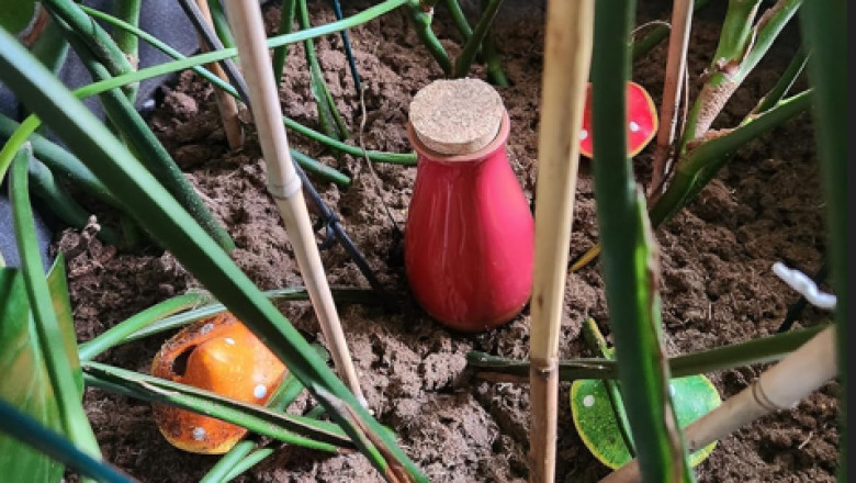 Upgrade Your Garden with Smartiliving’s Self-Watering Ollas—Here’s How!