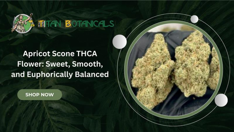 Elevate Your Senses with Apricot Scone Hemp Flower from Titan Botanicals